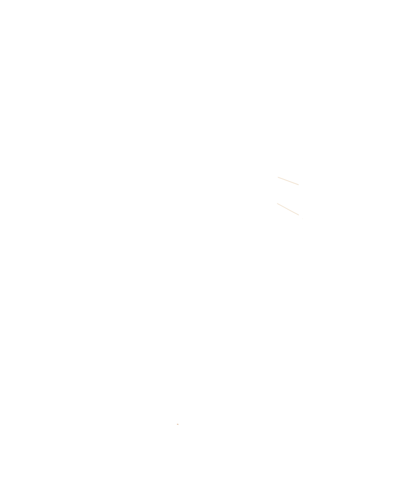 Pure Mac Photography Alternate Logo-02