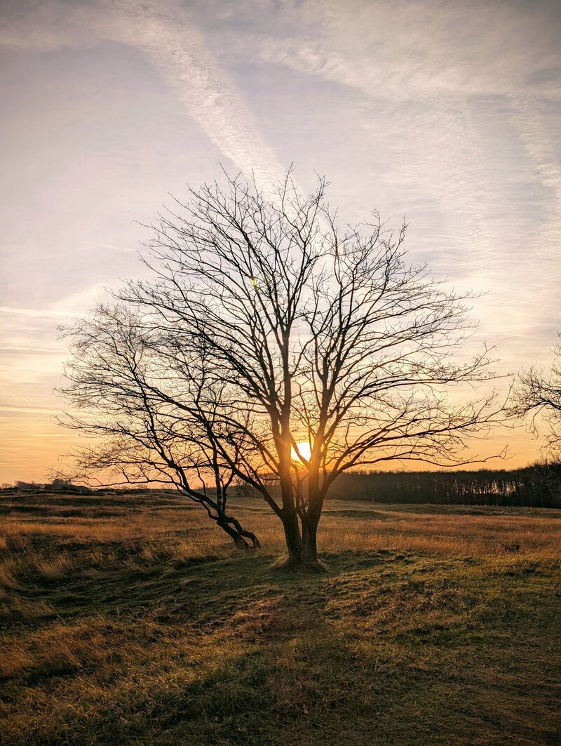 PXL_20250113_151724188-EFFECTS