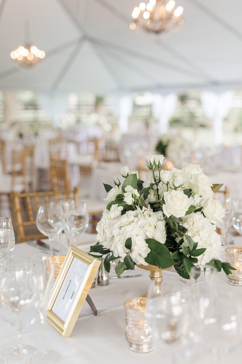 Hermitage Farm Wedding - Christopher and Caitlin-58