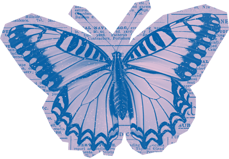 risograph photo of a butterfly