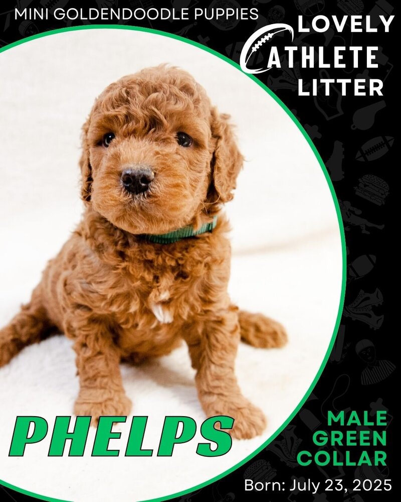Athlete - Green Phelps Male