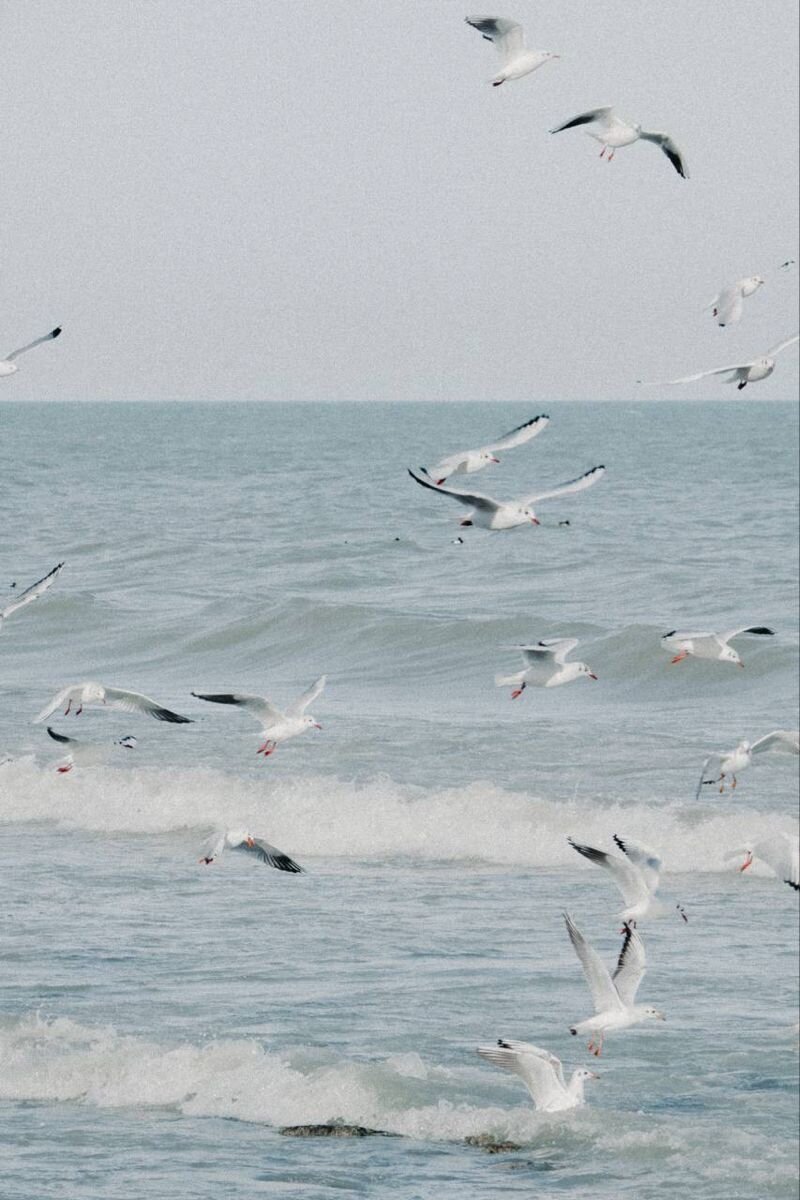 346165a9d684f26a6311c9ac82fa93c5