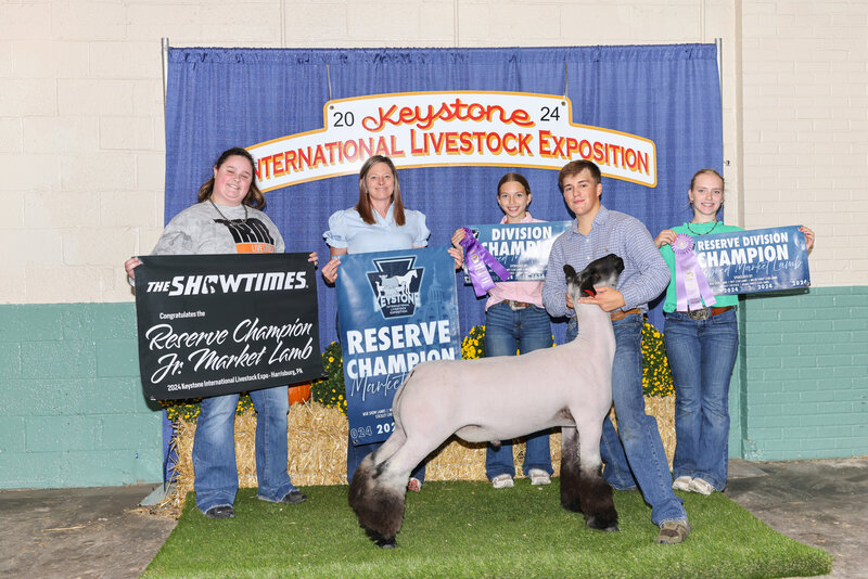 livestock photography