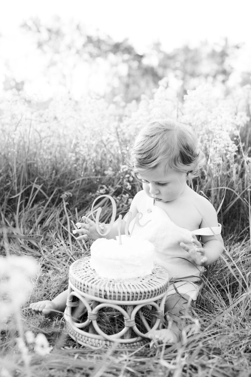 Minnetonka-baby-cake-smash-one-year-old-photos_0019