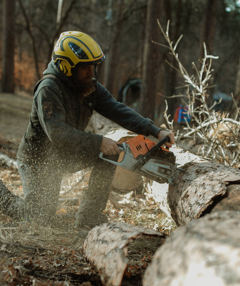 Urban tree care specialists at Tree Wise Men in Black Hills, South Dakota offering tree removal, pruning, and pest & disease management.