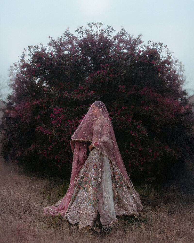 S + B NO AI_WeddingR5_S1101-Edit-standard-scale-0_50x