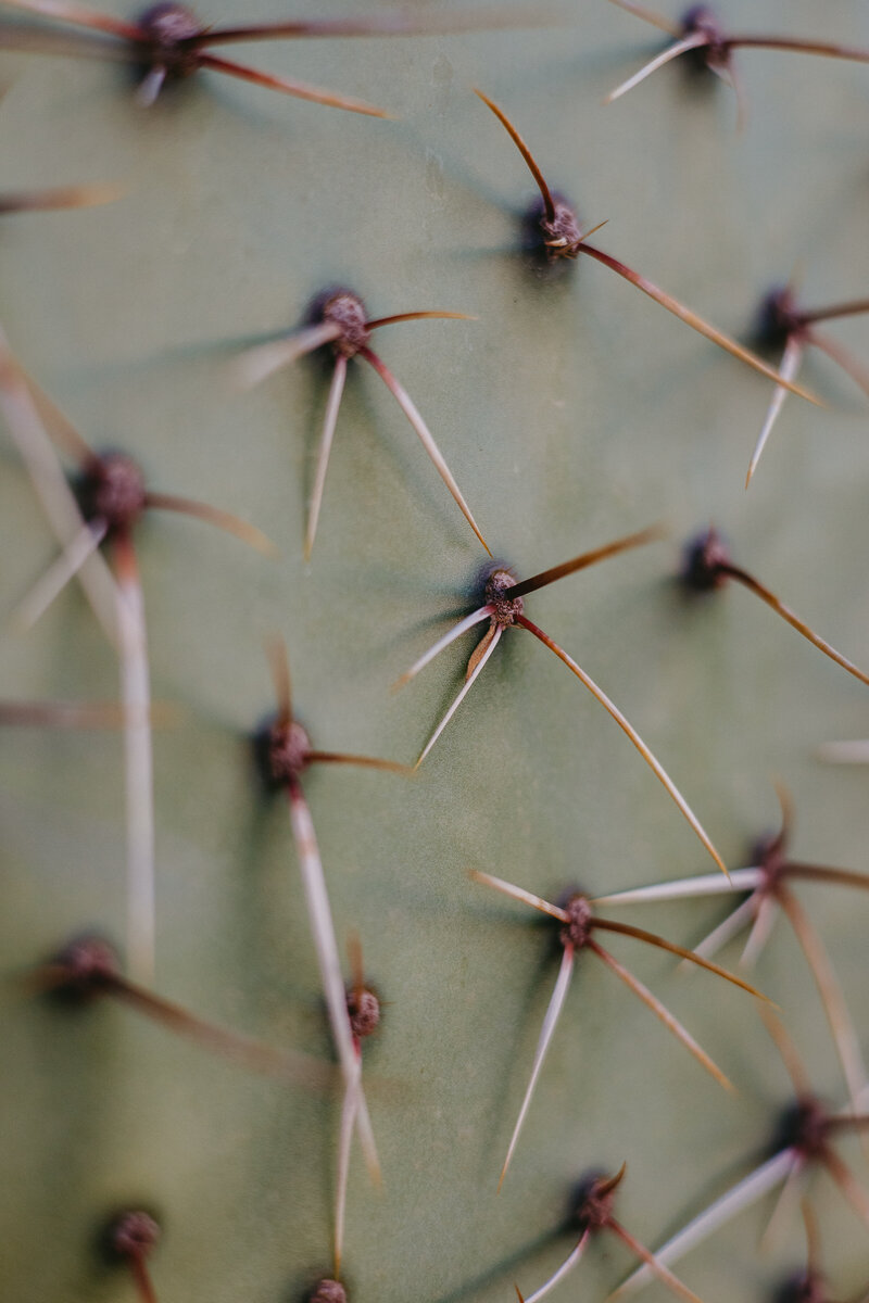 ParowanSunrise22-8394