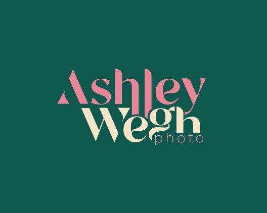 HeyCarl-Portfolio-AshleyWegh-logo