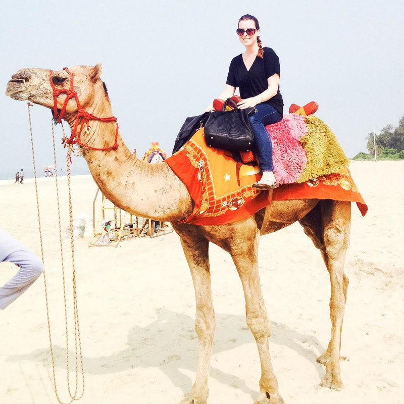 marketing by kerrie about us kerrie india camel