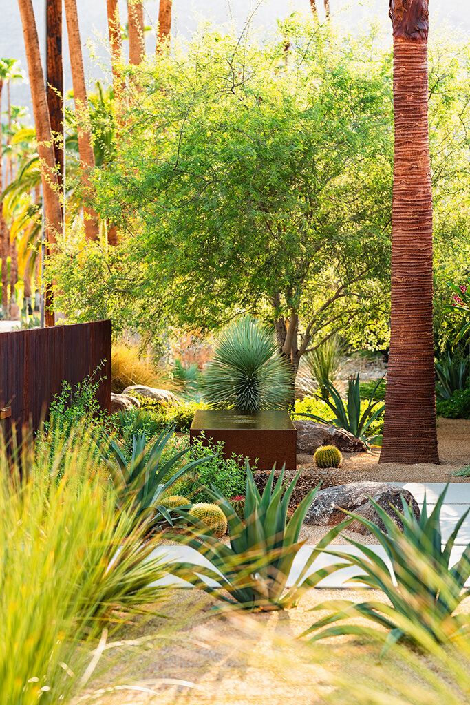 Landscape design for Palm Springs residence designed by Los Angeles architect