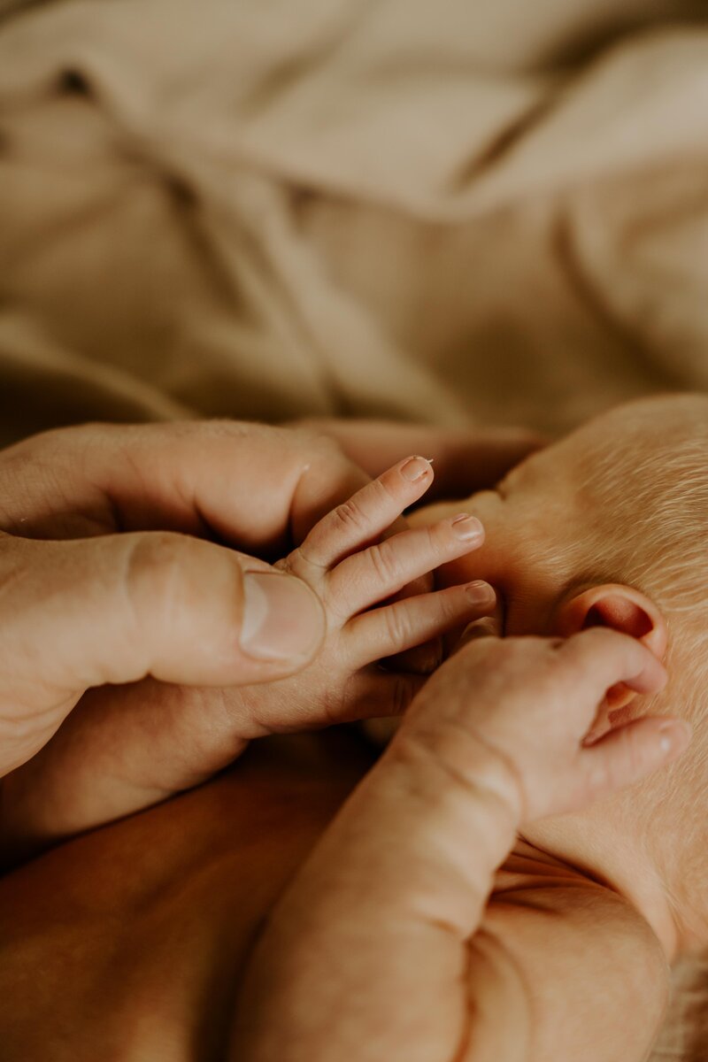 maryland lifestyle newborn photographer