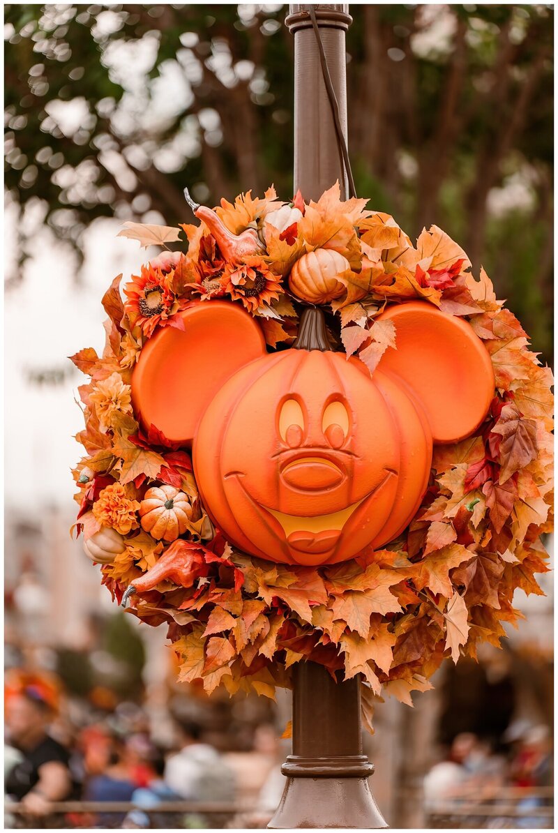 Disney Stock Photos_0283
