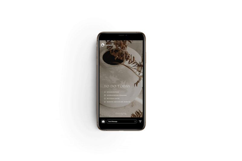 Instagram story templates interieur designer Fern & Fig 1