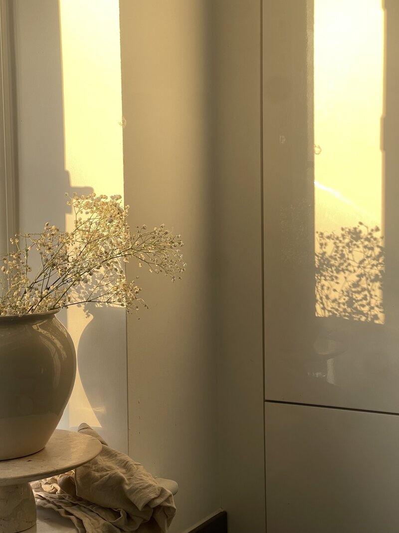 A vase with delicate white flowers sits on a table, bathed in warm golden sunlight. Soft shadows are cast on a white wall, creating a tranquil atmosphere.