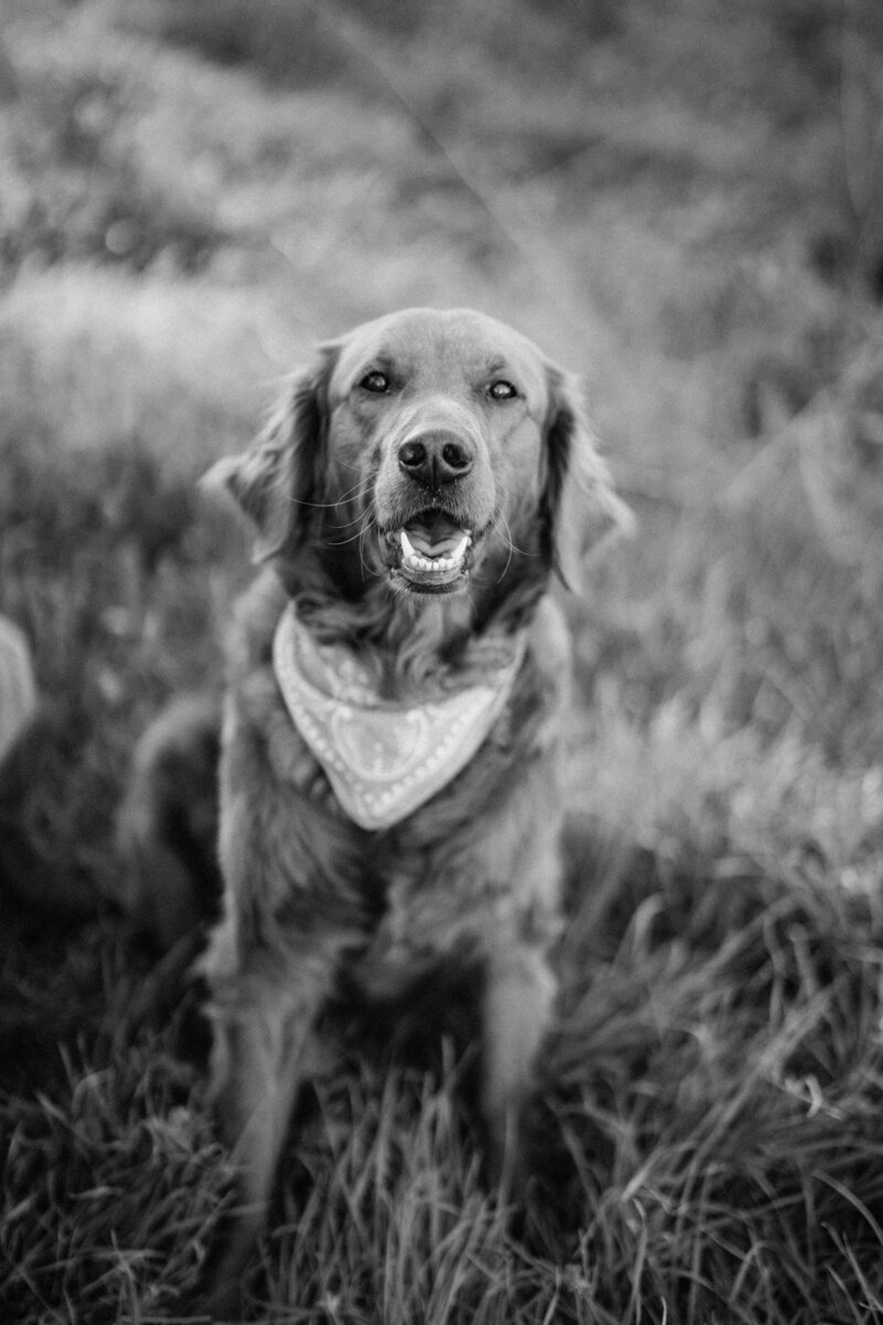 ErinCristaPhoto_CharlieHaskell-7