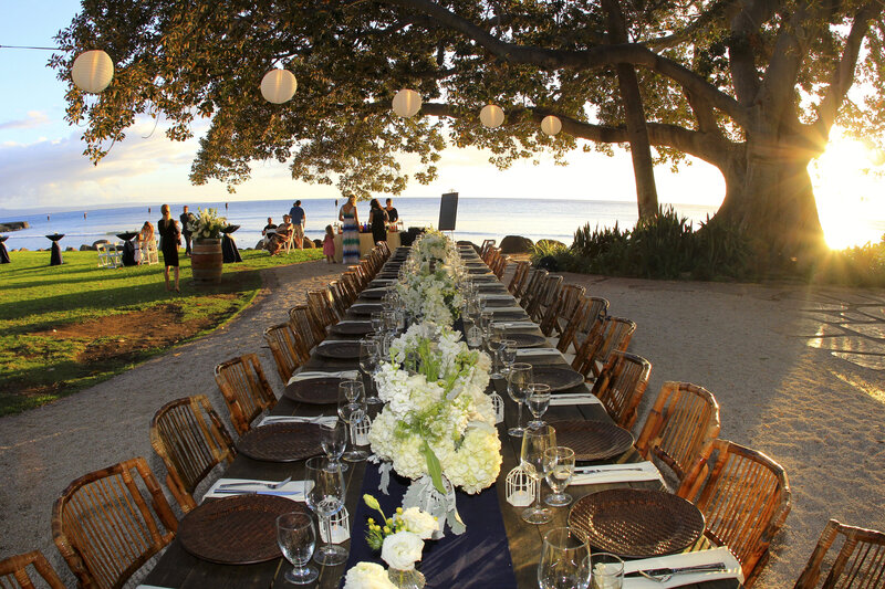 Caroline Morey Wedding Photographer Maui Destination Wedding Olowalu Plantation Wedding110413_8165184 x 3456