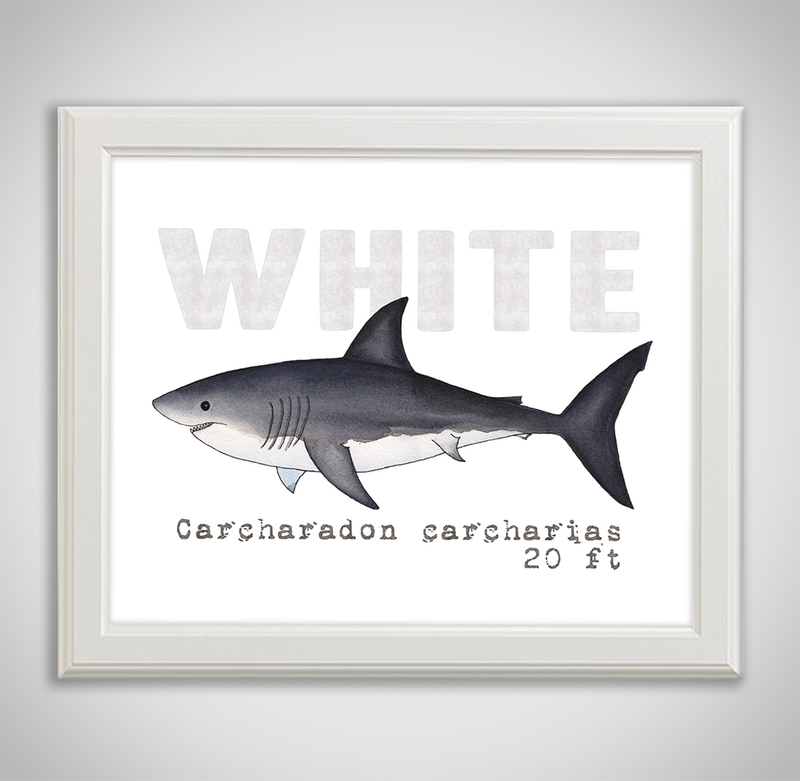 white-framed