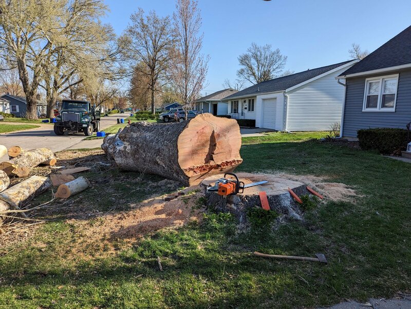 Cedar-Rapids-Iowa-landscaping-lawn-care-treatments-_20230427_133445360