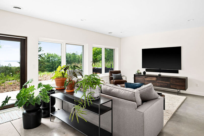 modern-scandinavian-basement-with-plants