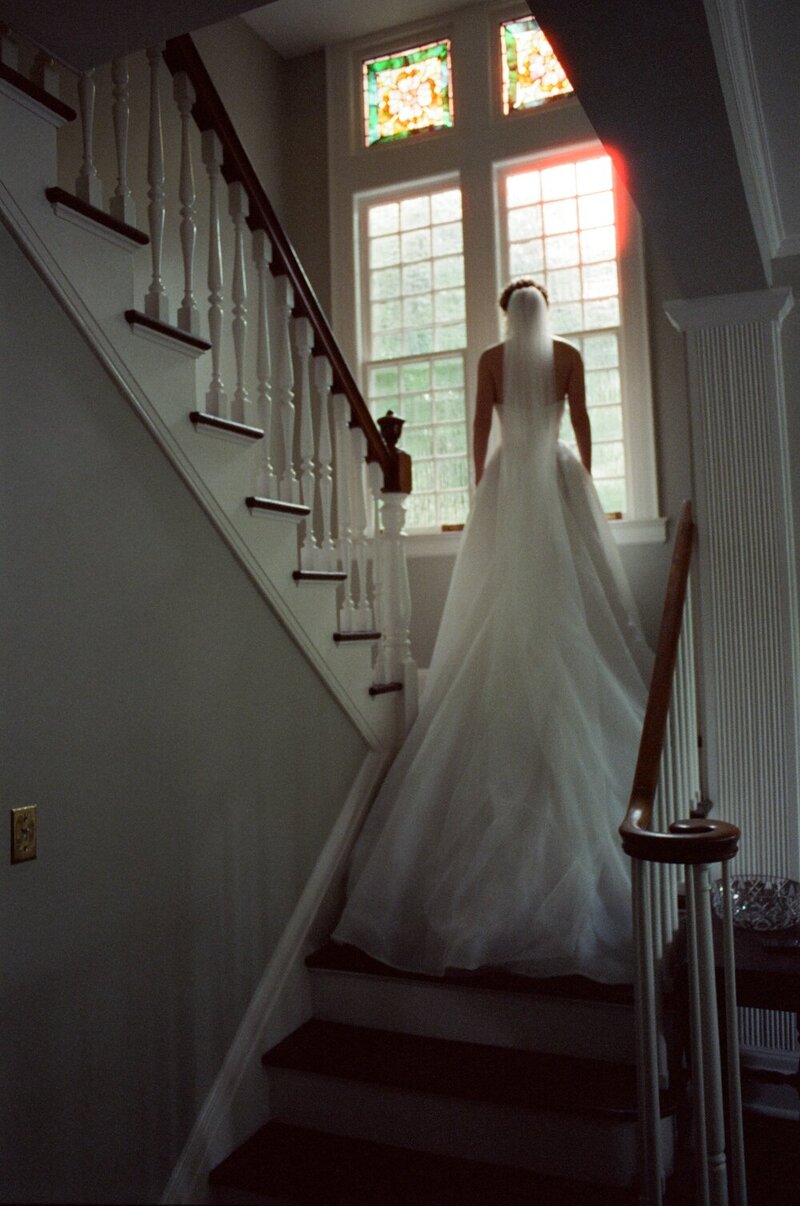 cinestill_xpro_c-41_800_tungsten_(800t)_08_26_2024_000129160032