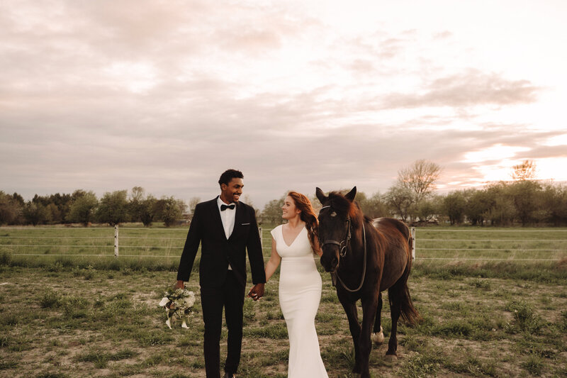 bride and groom holding hands walking with horse in the fields of Healy Hollow, Taylor Ridge, IL | Keel Co Photography