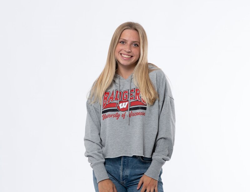 gray lightweight badgers hoodie