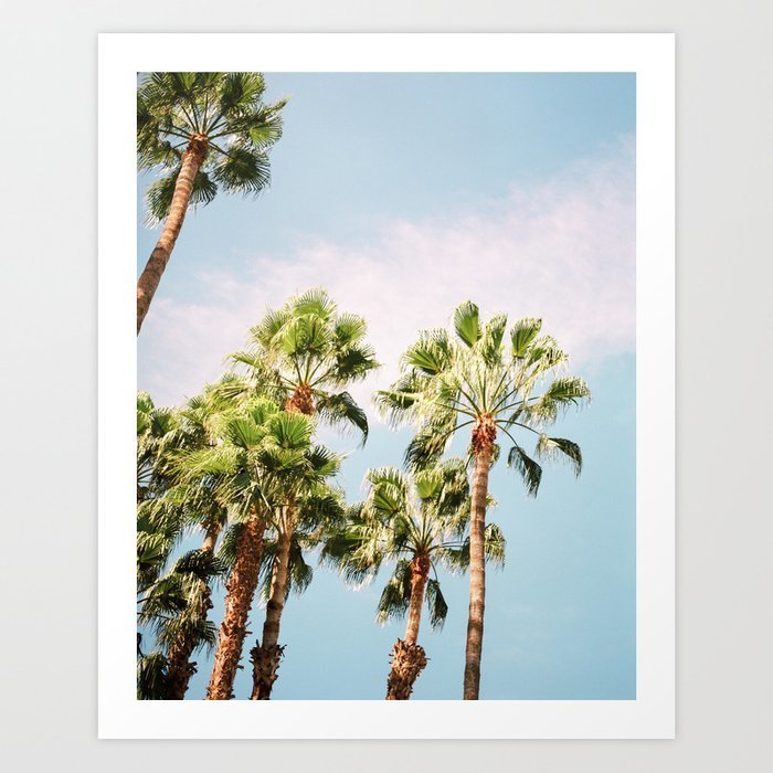 green-palm-trees-on-blue-marrakech-travel-photography-colorful-film-photo-art-prints