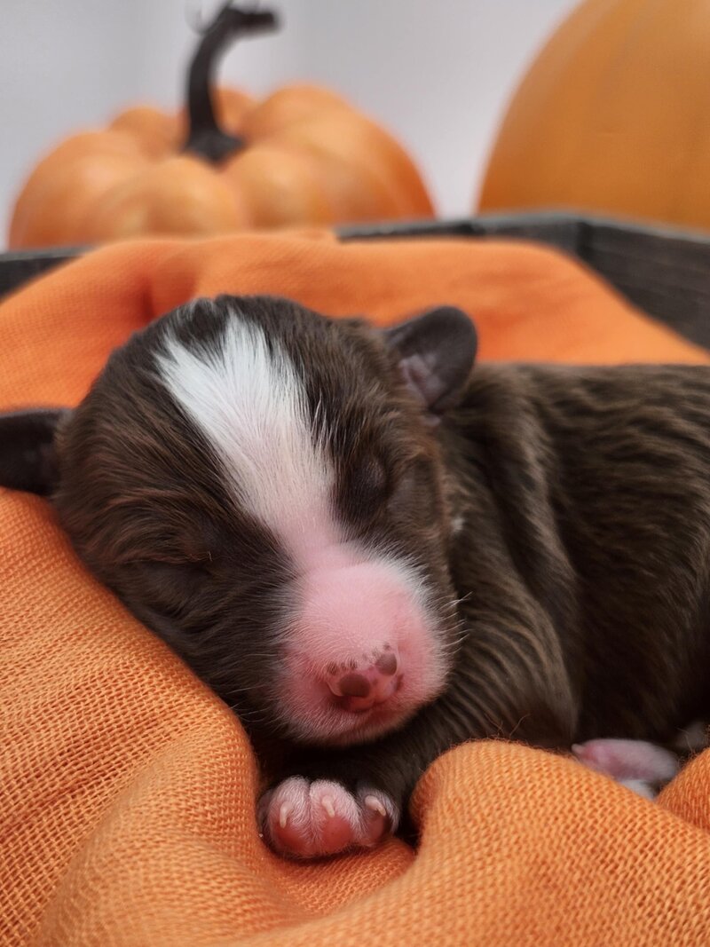 d1ac9046-4a05-4fb1-8b1b-08f6258b39f6