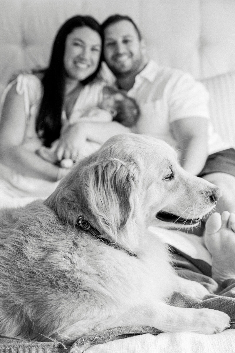Luxury Boston Wedding Photographer