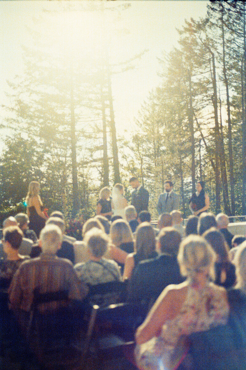 A 35mm film photo of a wedding at Amaterra Winery in Portland Oregon