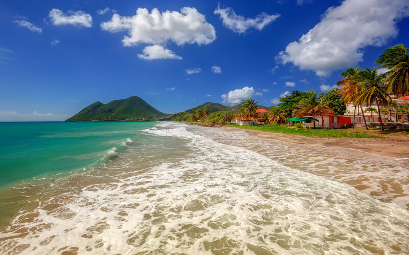 Amazing sandy beach with coconut palm tree and blue sky, Martinique, Caribbean. Le Diamant Beach.