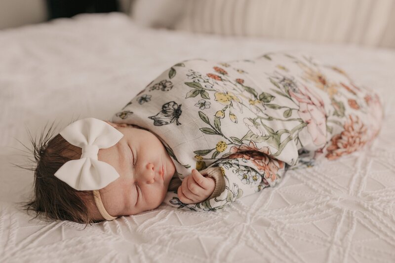 carlyle newborn photographer_0014