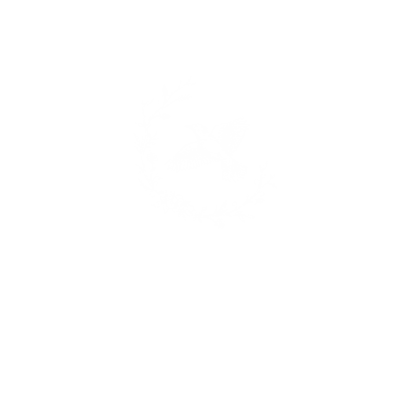 Skylark Media is a destination wedding photography & film company based in Sydney, Central Coast, Hunter Valley and around Australia.