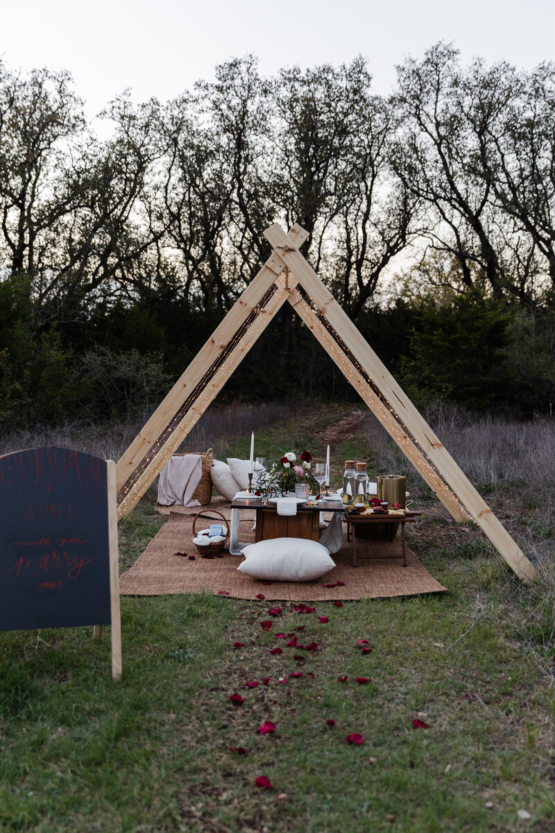 Austin Picnics - Proposal - Honey Social Picnic Co.