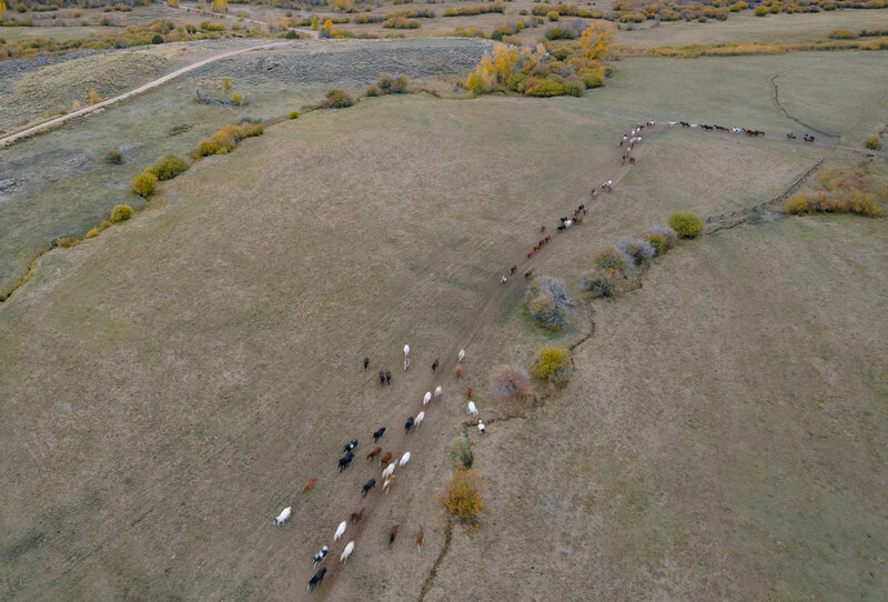 Carolina and Bryce-preview-Carrie King Photographer-1-3