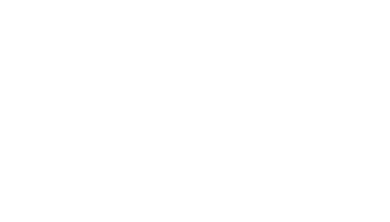 sparrow & spruce holistic brand design