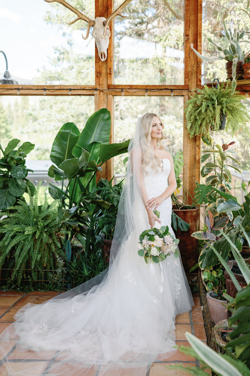 Mardi & Jack Wedding Gallery - Bridals-4