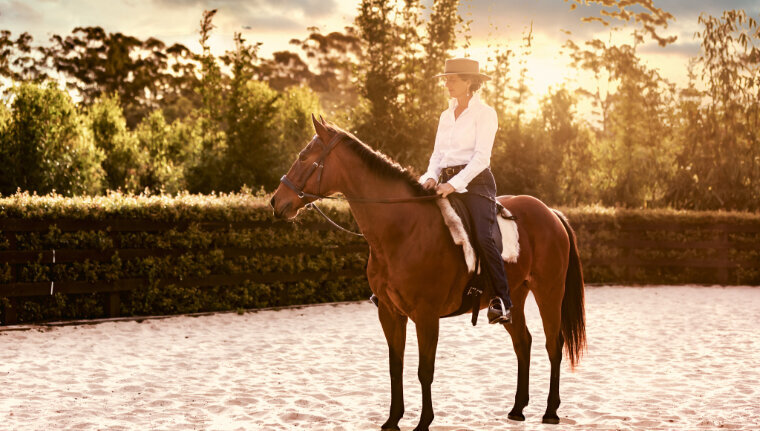 Karen-Osborn-Extraordinary-Female-Equine-Artist-Paard-Verzameld-Equestrian-Artwork-Sunset