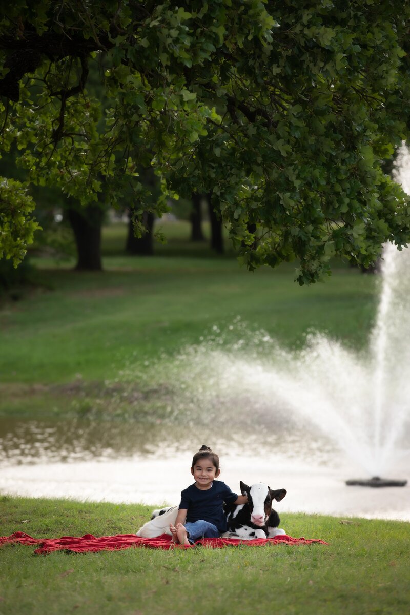 boy-sitting-with-cow-on-red-blanket-in-park-by-fountain-in-dalworthington-gardens-tx