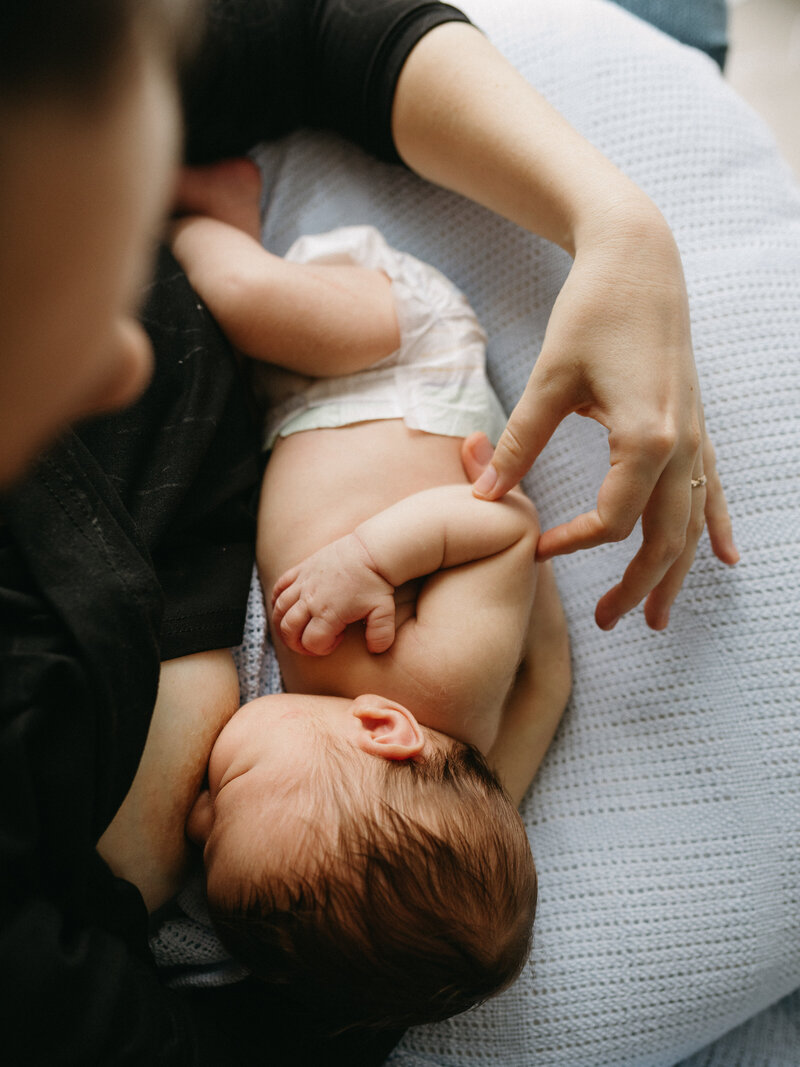 Mother and newborn feeding , the mother is gently touching her baby and the light is soft and gente , newborn photography in Gold Coast