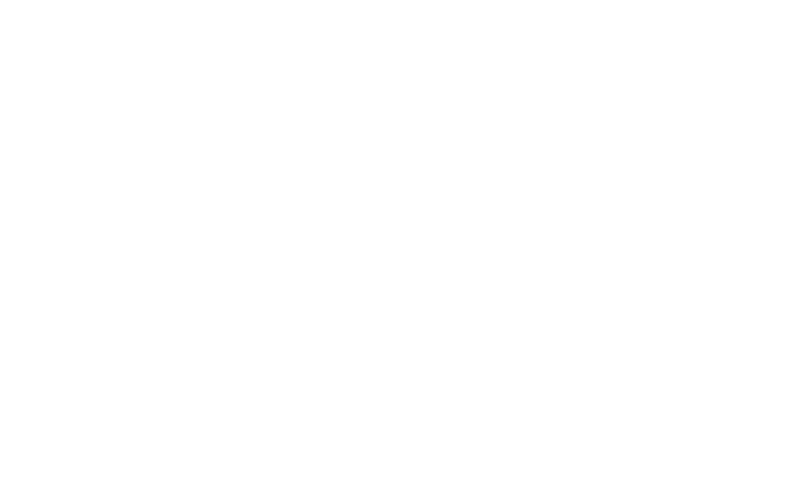 Main Mane Chic Logo