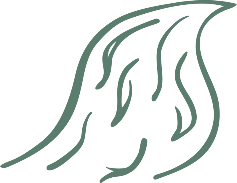 illustration of river icon