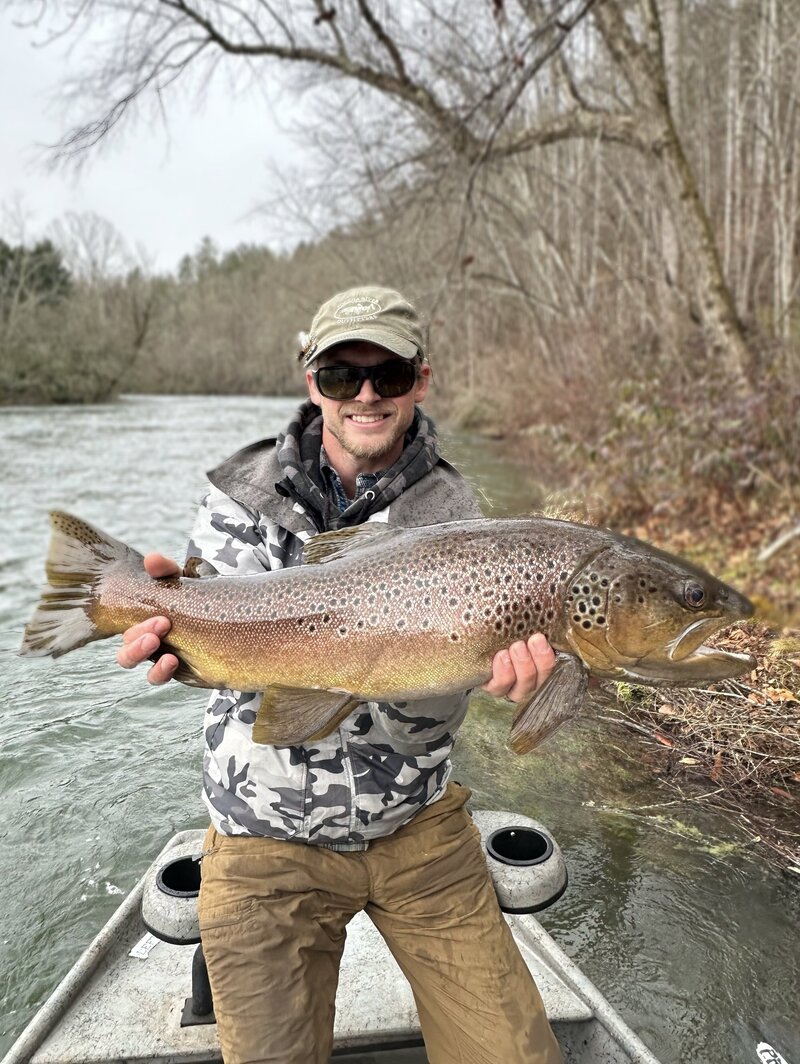 Brown Trout, Rainbow Trout, Native, Stocked