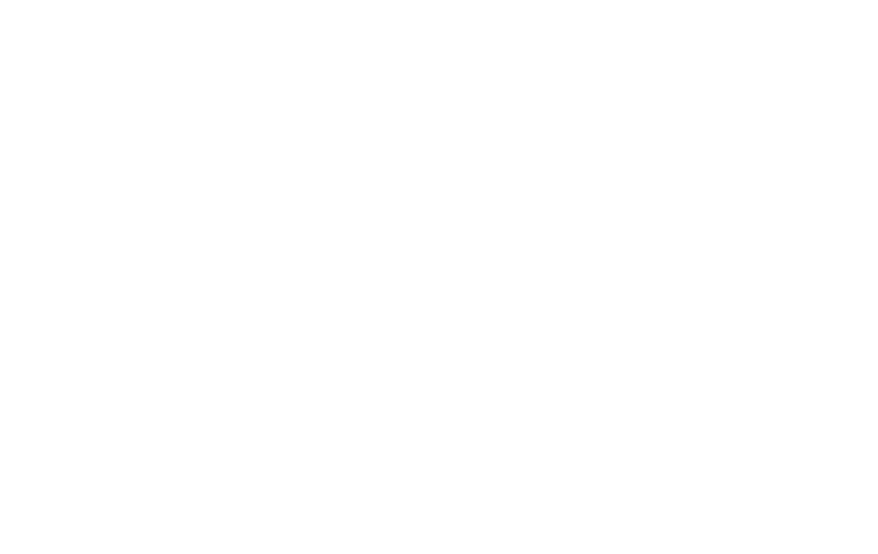 altlogo2-08