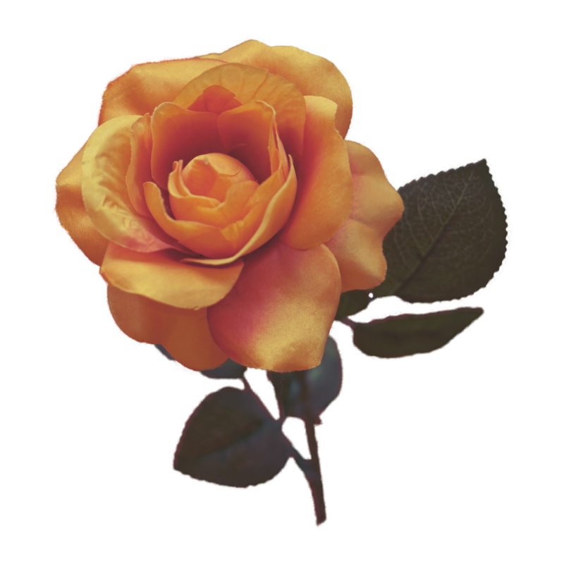 paper orange rose