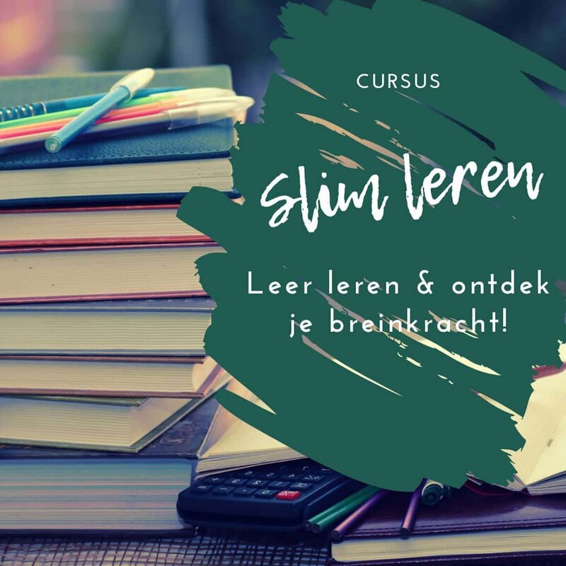 Cursus slim leren voor hoogbegaafde kinderen en hoogsensitieve kinderen