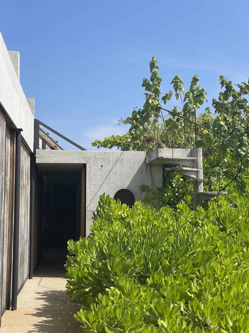 A woman walks across an open air patio in a brutalist inspired beach house in mexico.  There are lush tropical plants filling the front of the frame, warm wood of shutters, then behind her, the glimmer of sun on the ocean , creating a beautiful scene duirng an adventure luxe elopement 