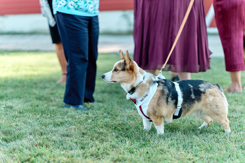 MPY_AL_D_A7R5_85_FM_091325_2442