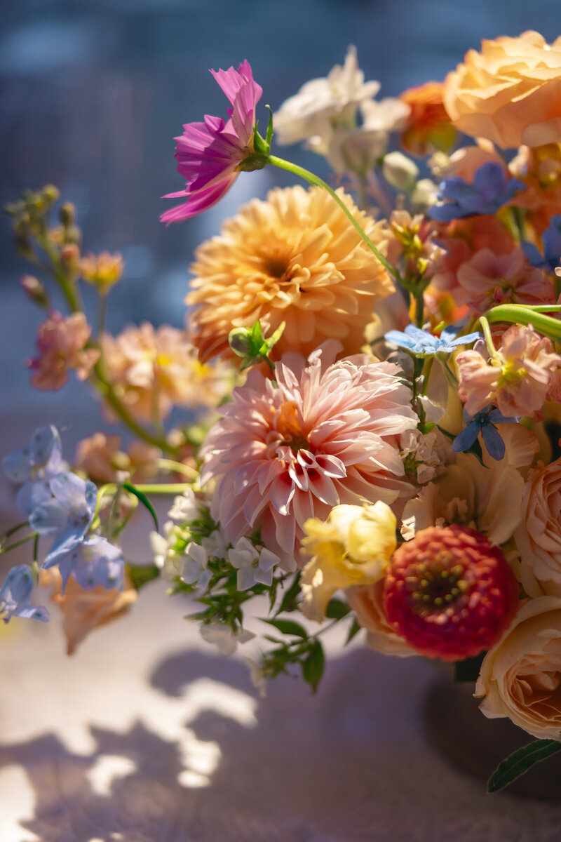 A colorful floral arrangement featuring pink dahlias, peach roses, blue delphiniums, and other blossoms, artfully arranged with green foliage. Soft lighting creates a dreamy ambiance.