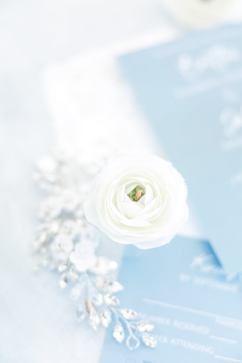 abella-wedding (1)